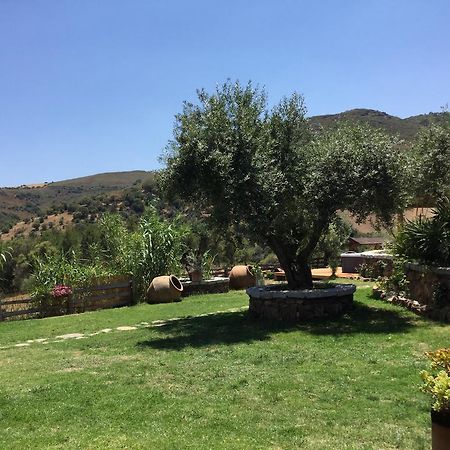 Il Giardino Di Daniela Bed and Breakfast San Teodoro  Buitenkant foto